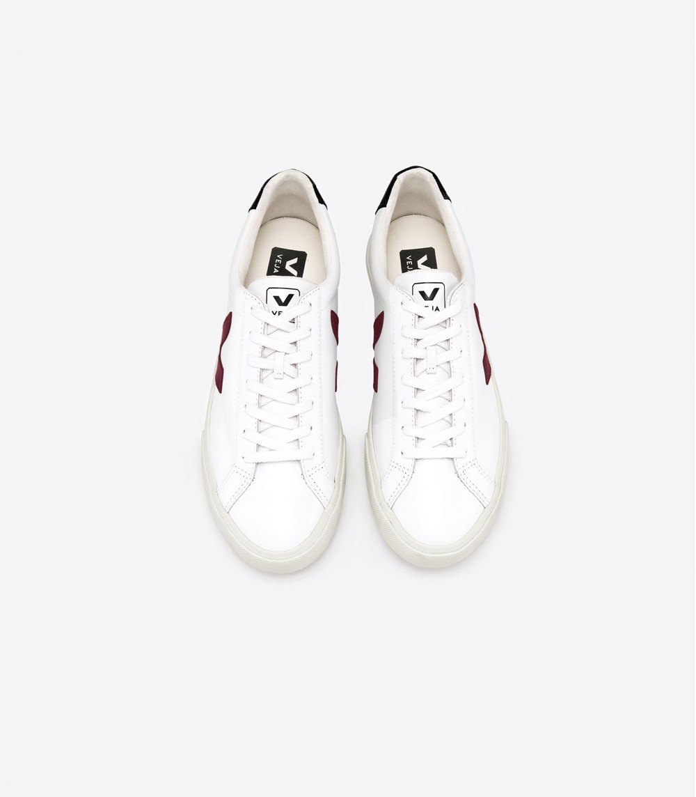 Veja Sneakers Dama - Esplar Piele - Albi - 7968214-VW